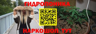 спиды Кинель